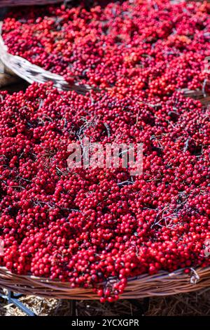 A close-up of red berries piled in a wicker basket after harvest The natural colors and texture of the berries, combined with the rustic wicker basket Stock Photo