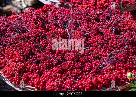 A close-up of red berries piled in a wicker basket after harvest The natural colors and texture of the berries, combined with the rustic wicker basket Stock Photo