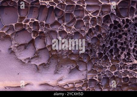 Detailed image of eroded rock formations showcasing the unique geological patterns found in the Cantabria region of Spain, highlighting natural weathe Stock Photo