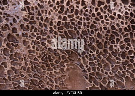 Close-up texture of weathered limestone rock formations indicative of the intricate geological processes in Cantabria, Spain. Stock Photo