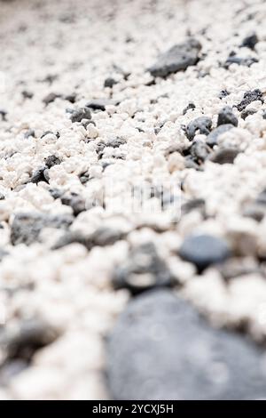 A close-up view of the distinctive popcorn-shaped coral pieces at Popcorn Beach, Fuerteventura, resembling popped kernels Stock Photo