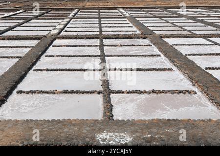 Aerial view of salt pans, showcasing numerous geometric sections filled with sea water in the process of salt crystallization, bordered by stone paths Stock Photo