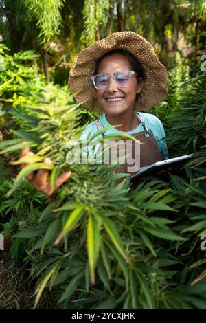 A cheerful woman in a straw hat tends to cannabis plants with a tablet, in a vibrant summer garden, focusing on the growth and flowering stages Stock Photo