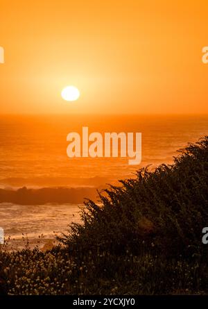A breathtaking view of the sun setting over the Atlantic Ocean, with the sky lit in vivid orange hues and silhouettes of coastal vegetation. Stock Photo