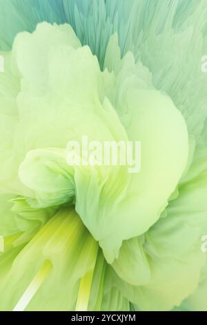 An abstract illustration showcasing a dynamic burst of green hues blending into soft yellows, creating a visually soothing yet energetic display Stock Photo