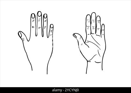 Vector monochrome palm and back view of human hand simple line art illustration painted by black inks. Body part etching drawing for medical Stock Vector