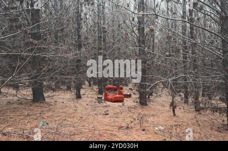 Old dilapidated chair in wintry pine forest Stock Photo