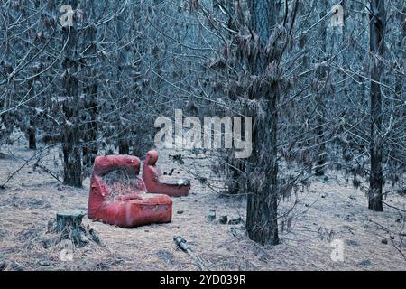 Abandoned red chair in the wintry pine forest Stock Photo