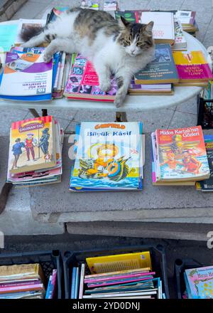 Ankara, Turkey: September 14, 2024: A street cat is lying on the books for sale in front of a stationery store. One of the books is about the characte Stock Photo