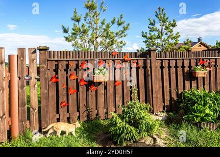 Ginger cat sneaks along a wooden fence with red artificial butterflies Stock Photo