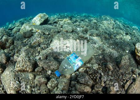 A discarded plastic bottle is found on a coral reef where it will break down into tiny pieces. Microplastics have sadly entered the marine ecosystem. Stock Photo