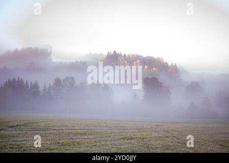 Emotional landscape a forest and meadow with fog after rain in the Czech republic, maybe crime scene, mystic one Stock Photo