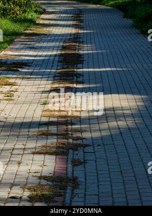 Endless Shadows: Light and Texture Patterns on Pavement Floor Stock Photo