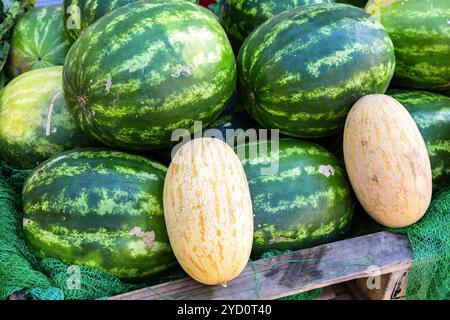 Fresh watermelons and melons ready to sale Stock Photo