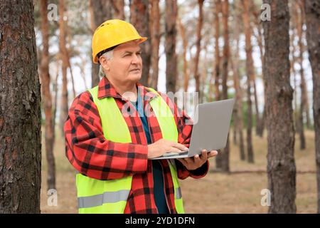 Senior forester using laptop in forest Stock Photo
