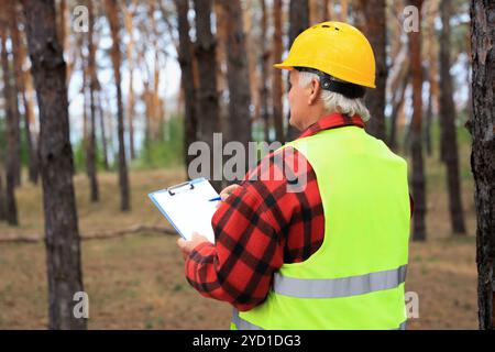 Senior forester taking notes on clipboard in forest, back view Stock Photo