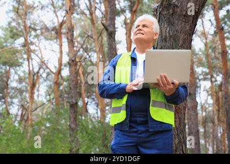 Senior forester with laptop in forest Stock Photo