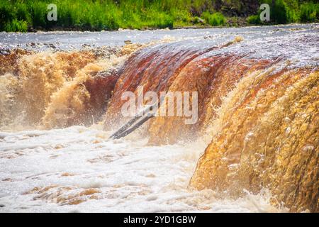 Sablinsky waterfalls. Little waterfall. The brown water of the waterfall.. Thresholds on the river. Strong water flow. Jets of w Stock Photo