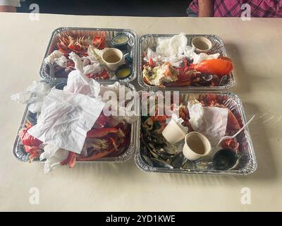 Four lobster dinner trays, done, eaten, leftover shells, a good mess.  At Young's Lobster Pound at the harbor of Belfast, Maine, USA. Stock Photo