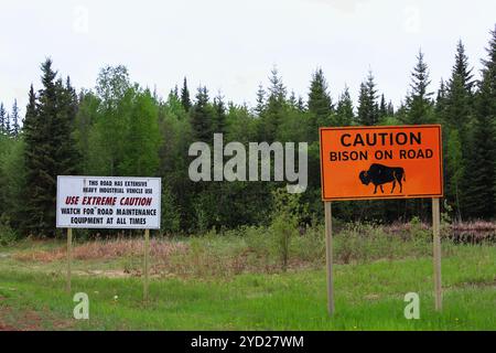 Caution, bison on road big orange sign Stock Photo