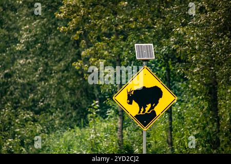 Mountain Goat crossing sign with small solar panel, Warning yellow roads signs in selective focus view with forest trees background Stock Photo