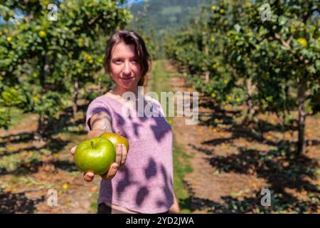 Happy woman in You pick apple orchard Stock Photo