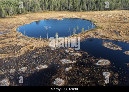 Drone shot, aerial view, close-up, wetland, bog in autumn with hoarfrost, Lapland, Finland, Europe Stock Photo