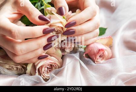 Delicate hands with stylish purple nails gently handle soft pink roses arranged on a draped fabric background, highlighting beauty and grace. Stock Photo