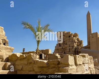 Luxor, Egypt; January 16, 2024: Karnak: The grandeur of Karnak, Egypt's greatest ancient religious site. Marvel at the massive columns, intricate hier Stock Photo