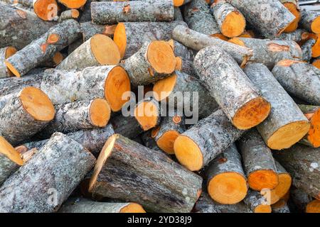 Chopped and stacked up dry firewood as background Stock Photo