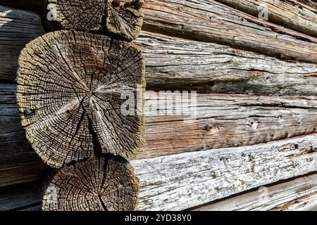 Old rough wooden logs with cracks as background Stock Photo