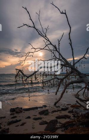 Samai Beach sunset on Koh Lan Thailand south east Asia Stock Photo