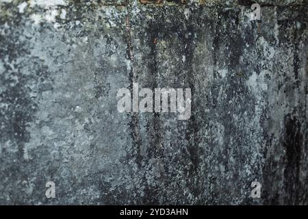 A damp concrete wall covered in wide patches of black mold, with cracks indicating a lack of maintenance and repair. The wall, which was once white, h Stock Photo