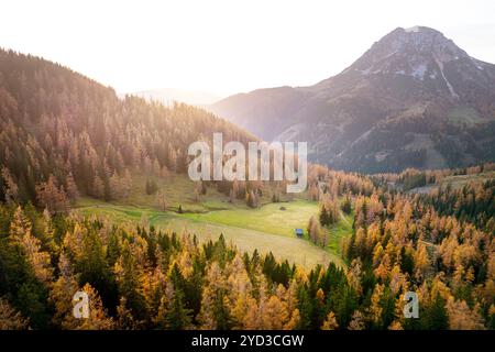 Small alpine meadow surrounded with Golden autumn larch trees, atumn foliage in the mountains near schladming in austria at sunset Stock Photo