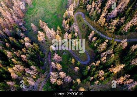 Aerial view of a windy forest road surrounded with golden autumn larch trees, atumn foliage in the mountains near schladming in austria Stock Photo