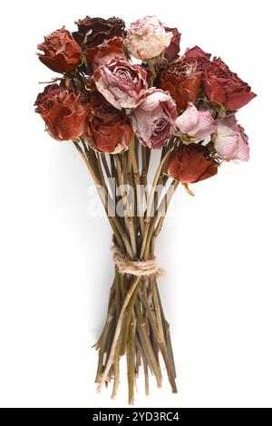 Bouquet of dried roses on a white Stock Photo