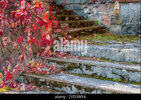 Old broken outdoor staircase against the red brick house. The steps are covered with moss. Stock Photo