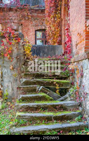 Old broken outdoor staircase against the red brick house. The steps are covered with moss. Stock Photo