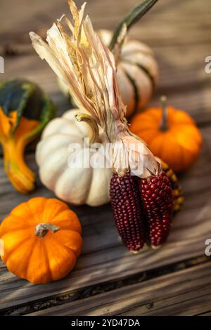 pile of Indian corn, gourds, and mini pumpkins in warm lighting Stock Photo
