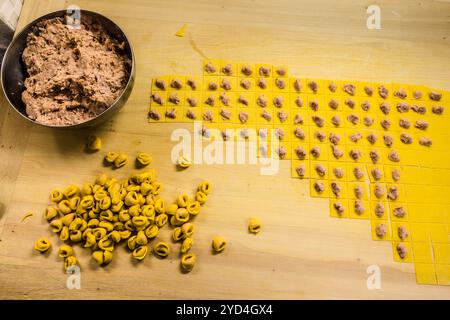 On a large sheet of yellow pasta dough at the Le Sfogline pasta workshop, small portions of meat filling are laid out in rows, with a pile of already-shaped tortellini beside them. A bowl of the meat filling stands ready at the top of the frame. Via Belvedere, Bologna, Emilia-Romagna, Italy. Stock Photo