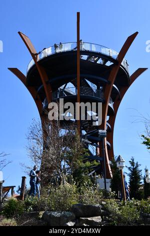 Anavista Smoky Mountain Observation Tower at Anakeesta Mountaintop Park in Gatlinburg, Tennessee Stock Photo