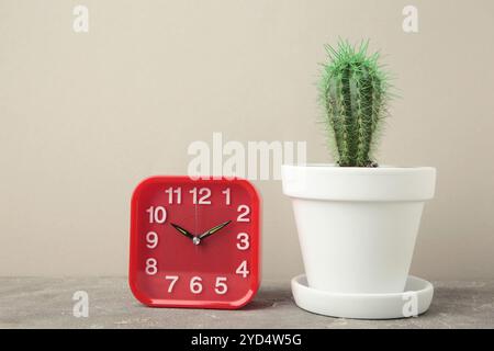 Red vintage old alarm clock and small cactus on grey background. Space for text. Top view Stock Photo