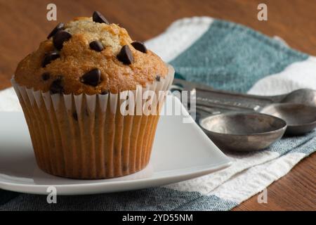 Chocolate chip muffin Stock Photo