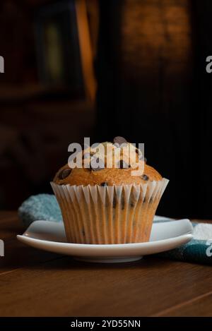 Chocolate chip muffin Stock Photo