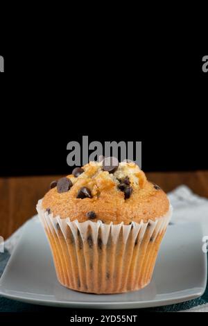 Chocolate chip muffin Stock Photo