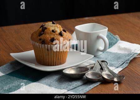 Chocolate chip muffin Stock Photo