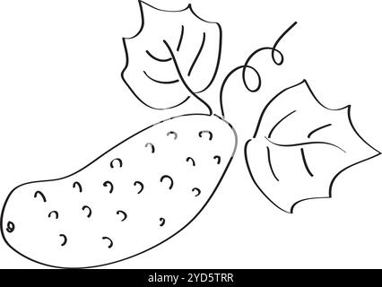 cucumber hand drawn with brush in black on white background Stock Vector