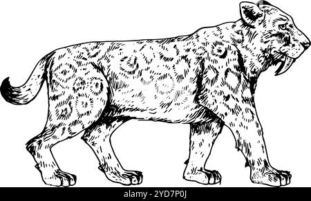 Smilodon - hand drawn illustration of extinct saber-toothed tiger | realistic, detailed in black and white, inspired by vintage styles Stock Photo