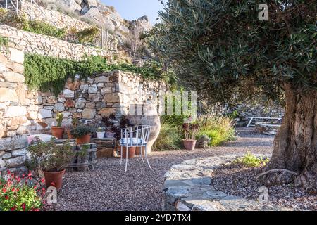 Olive tree and chair with gravel terrace on the Island of Tinos in Greece Stock Photo