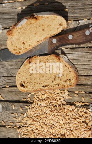 Triticum spelta, spelt Stock Photo